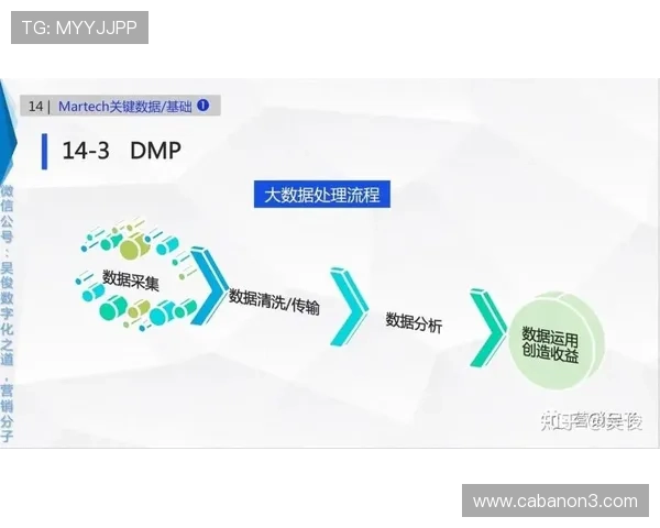 亚星管理平台官方：数据分析与报表生成的详细操作流程