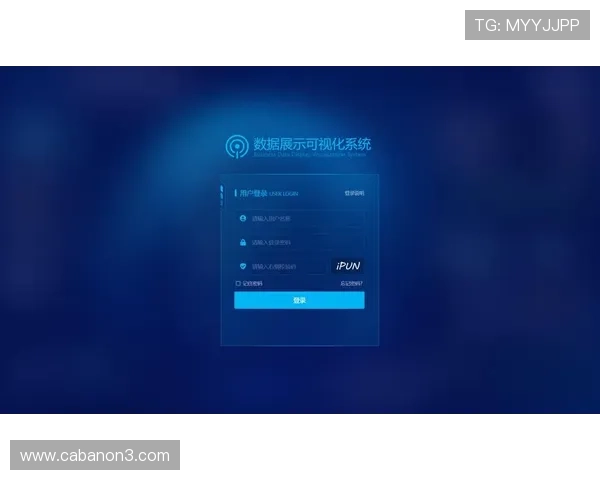 亚星222登录官网最新入口，全面解析安全登录流程与常见问题解决方案