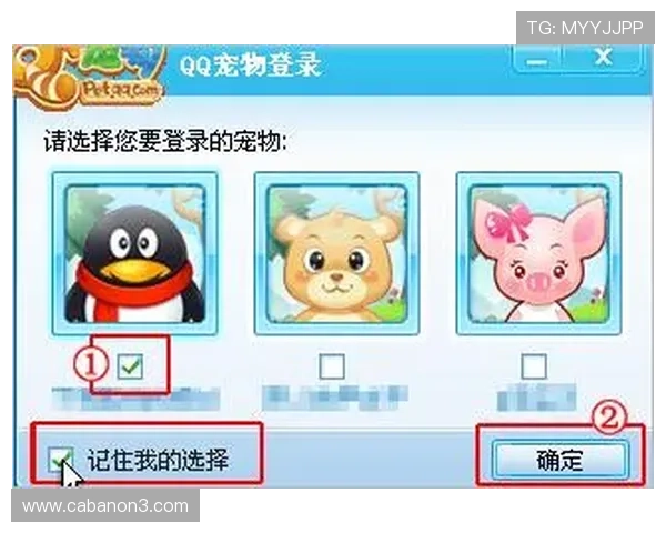 亚星娱乐旗舰厅登录线路错误影响登录的常见原因及应对措施