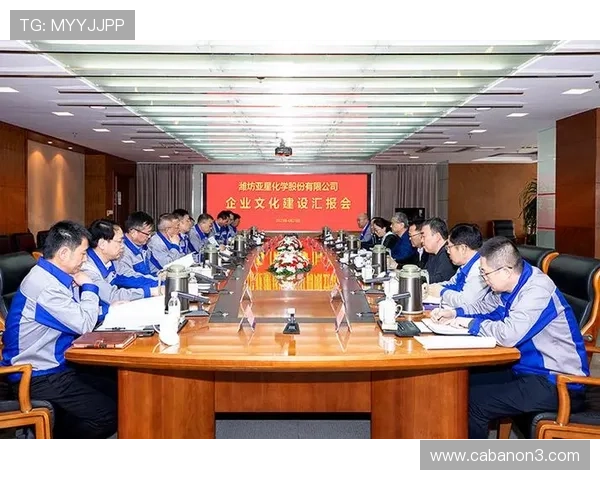 亚星集团官网首页企业文化与社会责任展示，彰显公司品牌价值与行业影响力