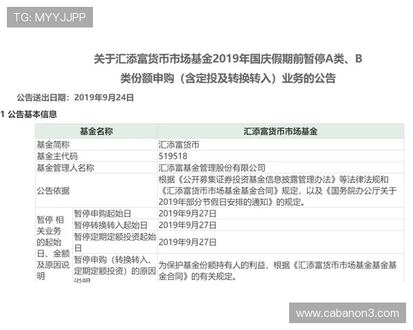全面解析百家乐路单实例，助你掌握实战技巧实现盈利