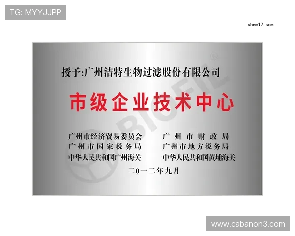 K8国际凯发官网的技术支持与平台稳定性分析报告